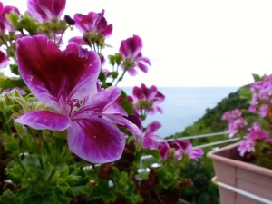 The view looking right.