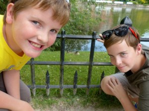 Stalking baby ducklings